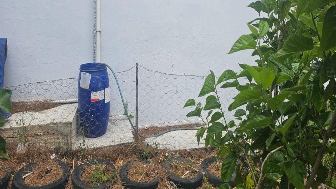 Yağmur Hasadı ve Geri Dönüşüm Etkinliğimiz...