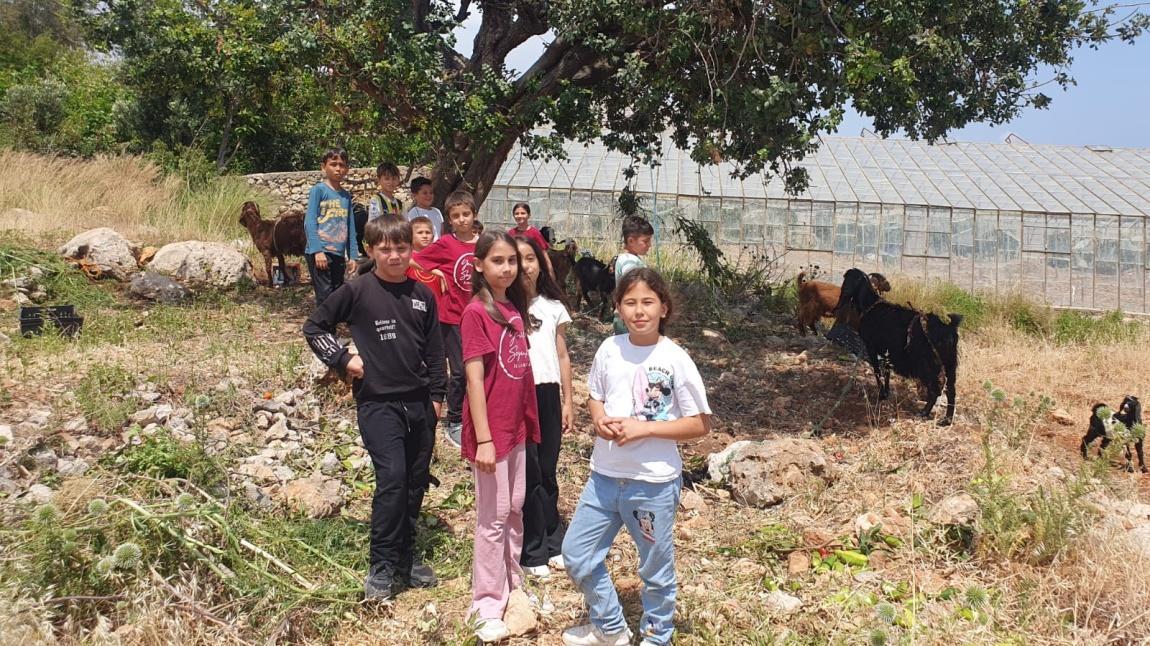 Doğadaki Farklı Canlı Türlerini Keşif Gezimiz...