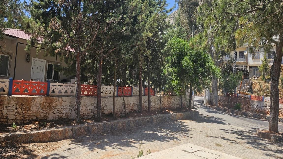 Okulumuzu Yeşillendirme Etkinliğimiz...